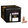 Nosler 7mm 160gr AccuBond