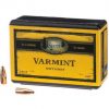 Speer Bullet .22 .224 45gr SPTZ